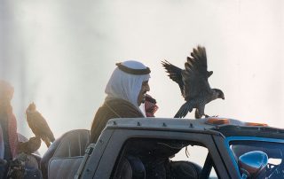 الملك فهد بن عبد العزيز في البر مع الملك سلمان قنص وصقر