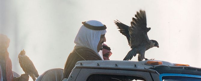 الملك فهد بن عبد العزيز في البر مع الملك سلمان قنص وصقر